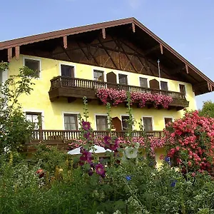 Koellhof Apartment